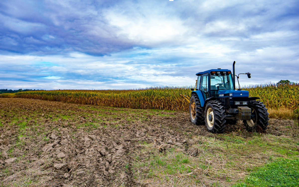 What Drives Property Values in Small Rural Communities? A Look at Southern Iowa